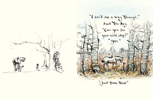 ALWAYS REMEMBER: THE BOY, THE MOLE, THE FOX, THE HORSE - MACKESY.